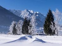 Schneeanhäufung, raureifbedeckte Bäume und Zahmer Kaiser